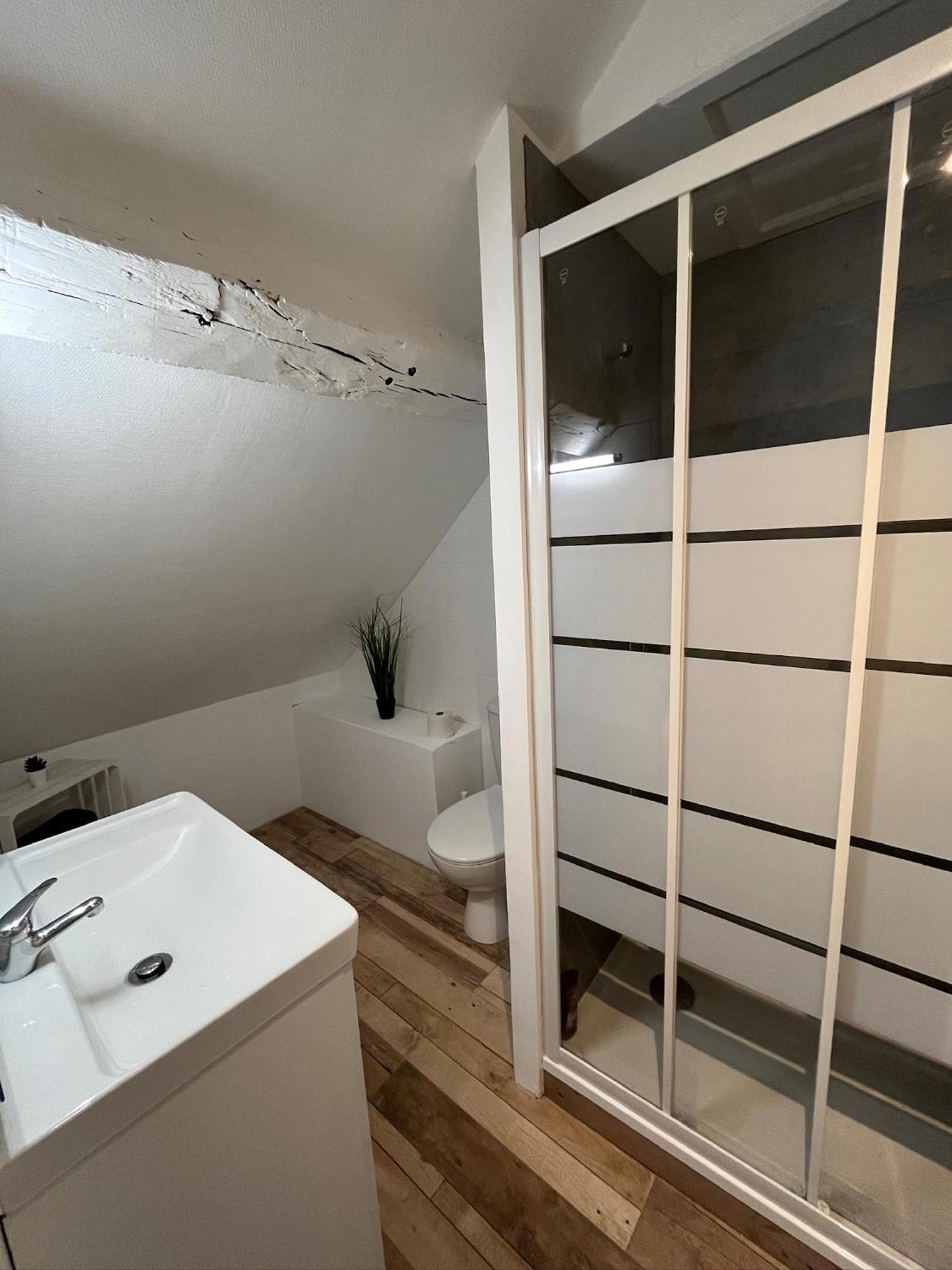 Residence 3 Studios De Charme Dans Centre Proche Cathedrale, Parking Possible A Prox Orleans Luaran gambar