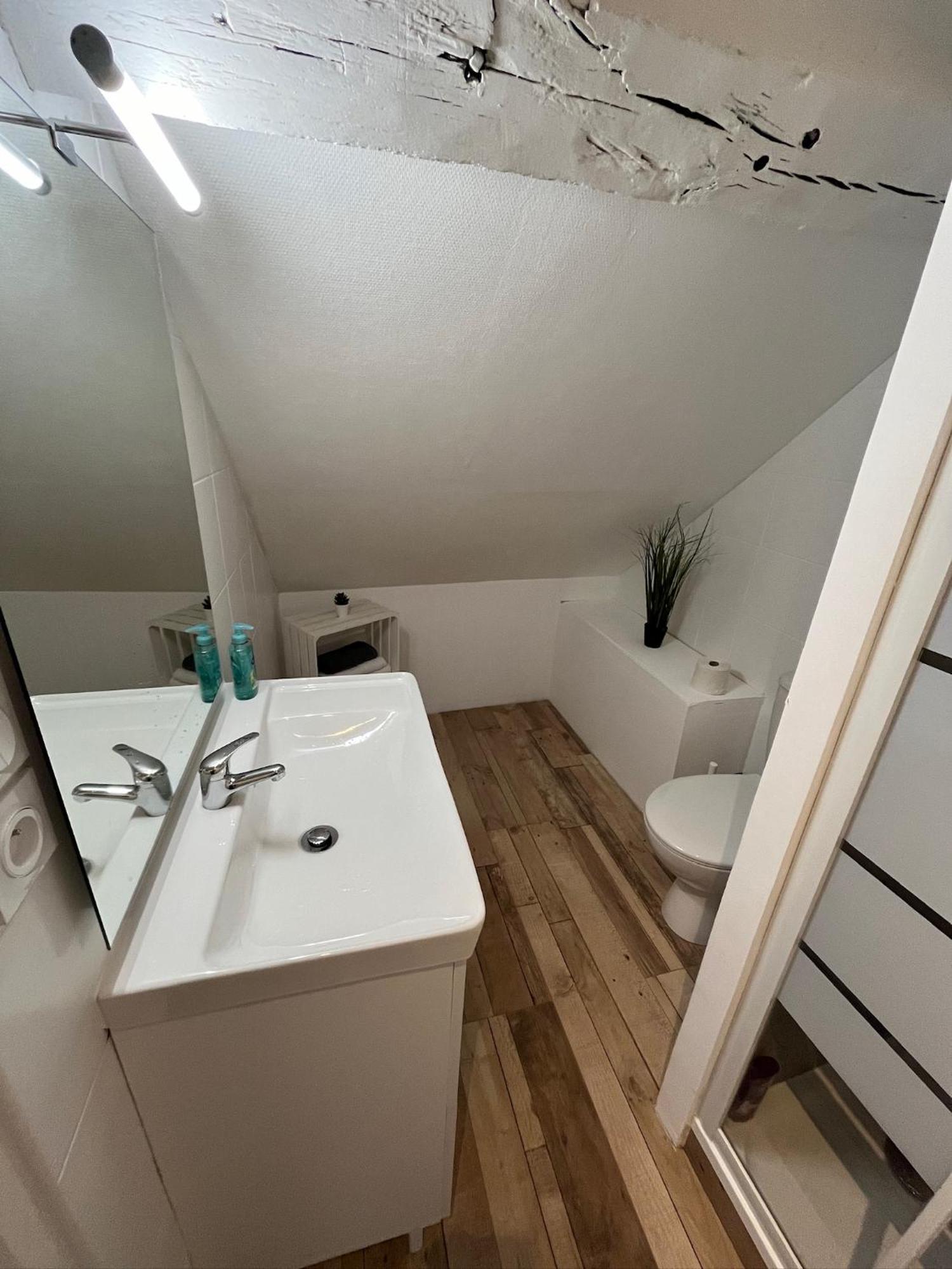 Residence 3 Studios De Charme Dans Centre Proche Cathedrale, Parking Possible A Prox Orleans Luaran gambar