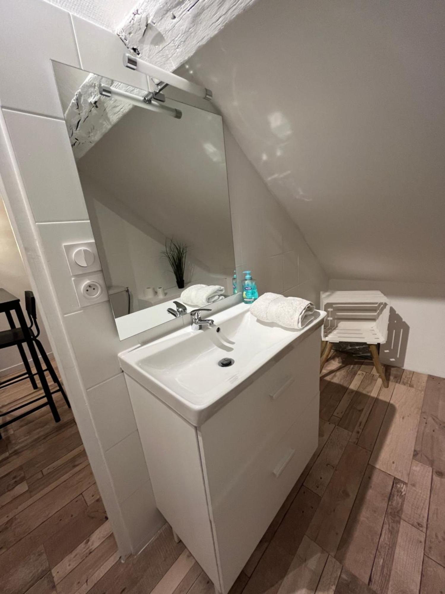 Residence 3 Studios De Charme Dans Centre Proche Cathedrale, Parking Possible A Prox Orleans Luaran gambar